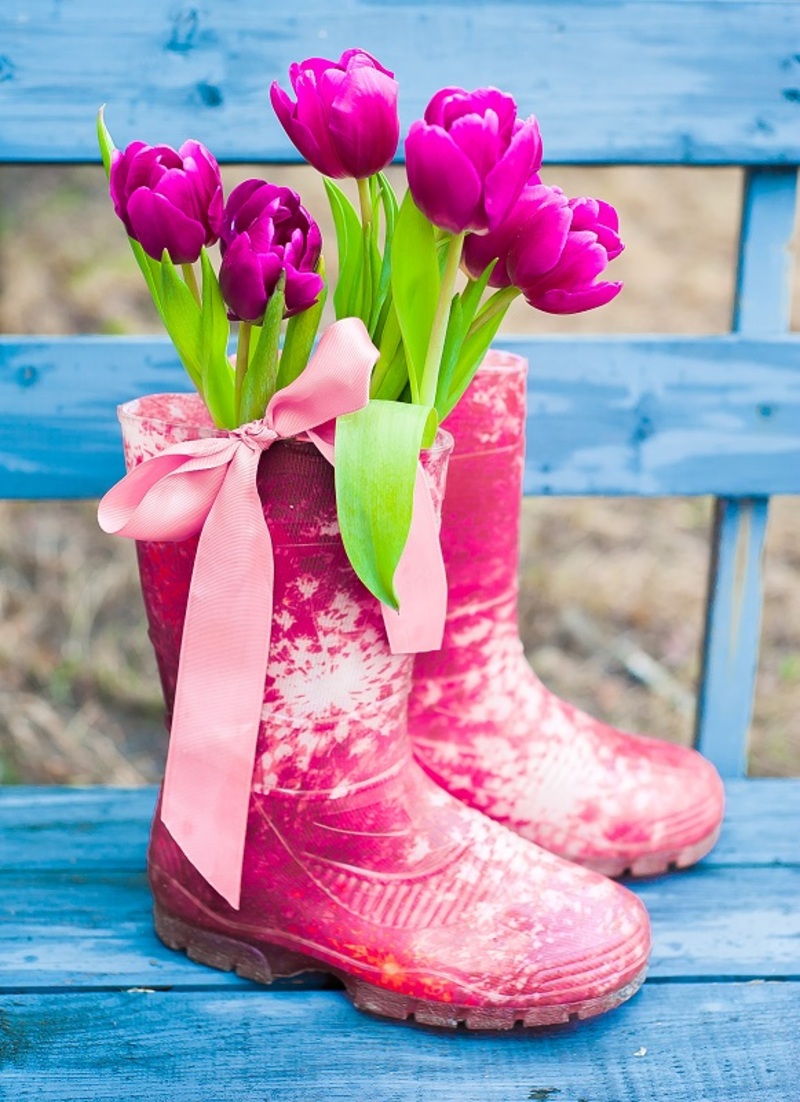 Flowers Tulips