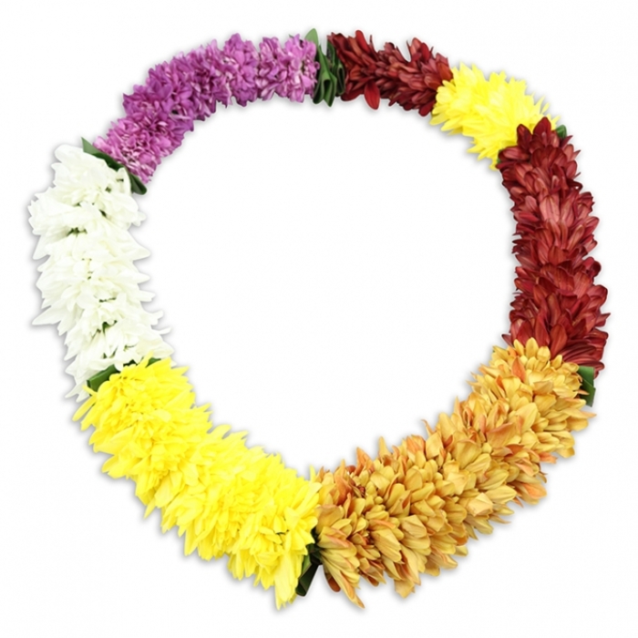 COLOURFUL GARLAND